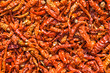 Dry Red Chili Peppers
