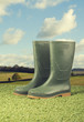 Foto: Wellington Boots Wellington Boots