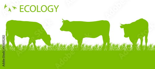 Vector: Store cattle ecology background organic farming vector Store cattle ecology background organic farming vector