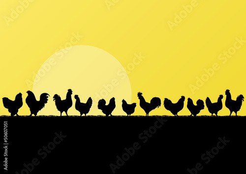 Vector: Farm chickens and roosters silhouettes in countryside landscape Farm chickens and roosters silhouettes in countryside landscape