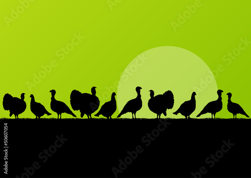 Vector: Wild turkey hunting season silhouettes in countryside landscape Wild turkey hunting season silhouettes in countryside landscape