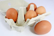 eier in einer eierschachtel