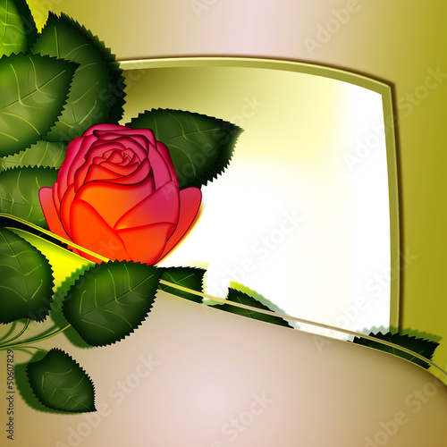 Illustration: Flower rose. frame Flower rose. frame