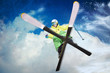 skier