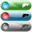Liver. Vector internet buttons.