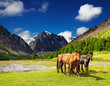Mountain landscape