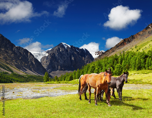Photo: Mountain landscape Mountain landscape