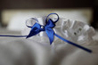 Closeup picture of brides garter