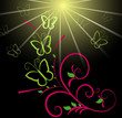 Butterfly and sun background
