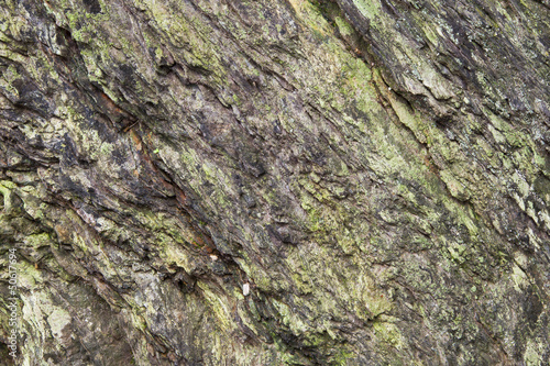 Photo: Rock / Cliff with Lichen & Algae Background Texture. Rock / Cliff with Lichen & Algae Background Texture.