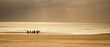 Surfing Lessons! Watersport Adventure Landscape - Activity Holid