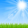 Summer background