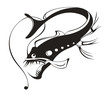Predator fish