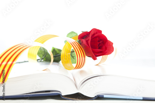 Photo: Book Day Book Day