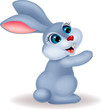 Cute rabbit cartoon
