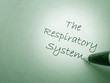 System respiratory human