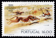 Photo: Postage stamp Portugal 1984 Cheetahs, Lisbon Zoo Centenary Postage stamp Portugal 1984 Cheetahs, Lisbon Zoo Centenary