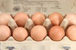 Eier04