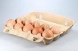 Eier05