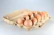 Eier06