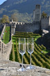 Pair of champagne glasses and grapes. Bellinzona, Switzerland