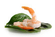 Shrimps