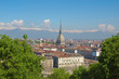 Turin view
