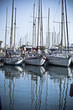 Yachts and boats in the harbor