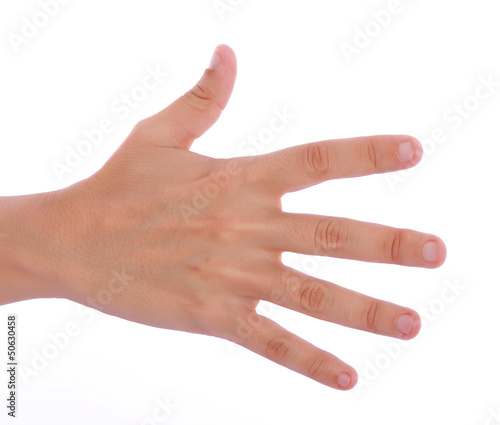 Photo: woman hand woman hand