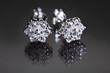 Close-up Of Earrings