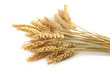 Foto: Stalks of wheat ears Stalks of wheat ears