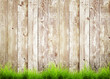 grass