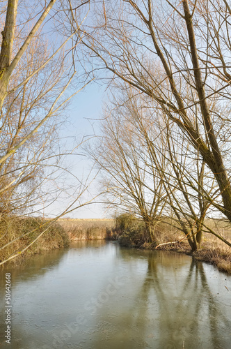 Photo: petit étant bordé d'arbre petit étant bordé d'arbre