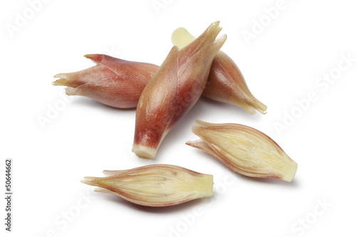 Photo: Whole and half fresh Myoga Whole and half fresh Myoga