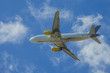 Airplane in flight