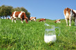 Jug of milk against herd of cows. Emmental region, Switzerland