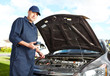 Professional auto mechanic.