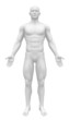 Blank Anatomy Figure - Front view