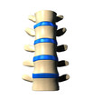 Lumbar Spine - Anterior view / Front view