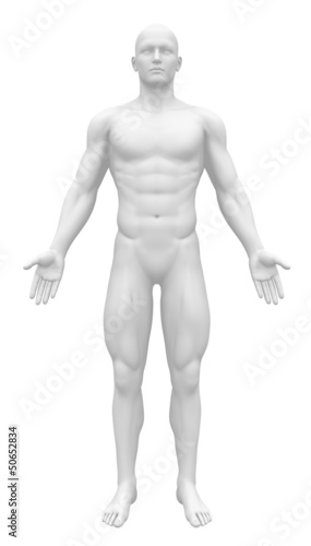 Illustration: Blank Anatomy Figure - Front view Blank Anatomy Figure - Front view