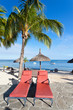 chaises-longues sous les cocotiers