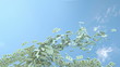 Video: US dollar cash slow motion flow and blue sky. Alpha matte US dollar cash slow motion flow and blue sky. Alpha matte