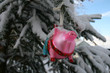 weihnachtsschmuck