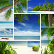 tropic mix