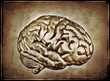 Vintage Brain