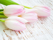 Tulips Bouquet Tulips Bouquet
