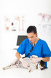 Female Veterinarian Examining ...