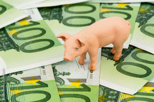 Photo: Schwein auf Eurogeld Banknoten Schwein auf Eurogeld Banknoten