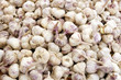 Photo: Italian Garlic Bulbs Italian Garlic Bulbs