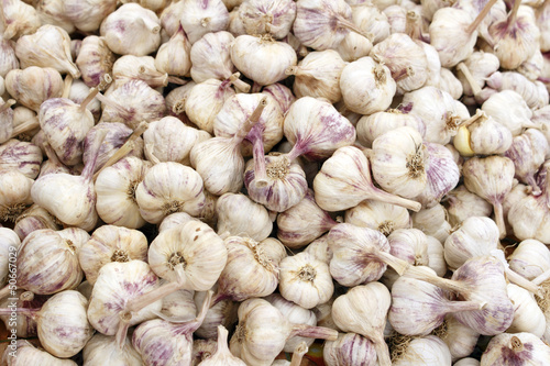 Photo: Italian Garlic Bulbs Italian Garlic Bulbs